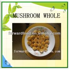2840g  fresh  champignon mushroom half