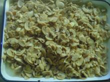 Fresh Canned Champignon Mushrooms