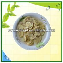 2840g Canned Mushroom Button in Brine