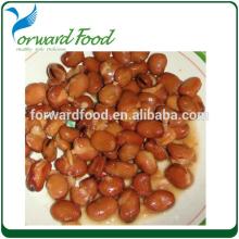 best canned salted broad beans manufacture
