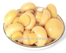 High Quality  Champignon   Mushroom   Canned 