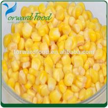 Canned sweet corn wholesale in can