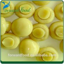 canned mushrooms whole in tin for market price