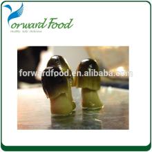 products you can import from china canned straw mushroom