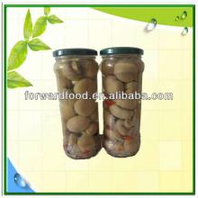 370ml canned mushroom button in glass jars