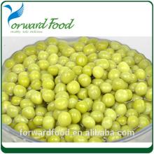 3000g canned green peas in can
