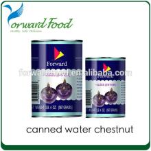 567G FRESH organic canned water chestnut in tins