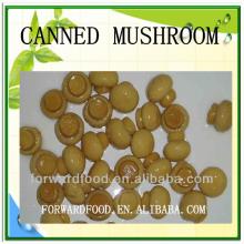 High Quality Champignon Mushroom Canned Whole
