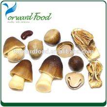 canned vegetable straw mushroom