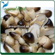 2840g China canned straw mushroom