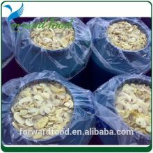 canned salted mushroom wholesale price