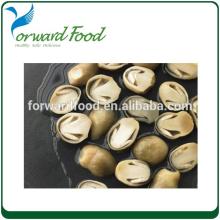 straw mushrooms canned food factories