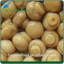 2014 best sell canned mushroom cultivation