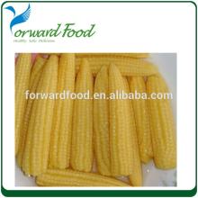 425G GOOD PRICE fresh canned baby corn sweet kernel