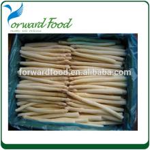 hot sale canned food factories asparagus