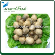 market prices for mushroom canned straw mushroom