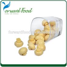 400g Delicious Best Canned Mushrooms For Sale