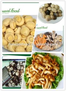 A10or 2950g button mushroom price for canned mushroom with high quality