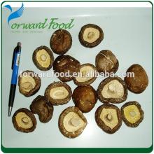 dried shiitake  mushroom   price s for high quality dried shiitake  mushroom 