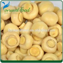 400g whole mushroom canned manufactures
