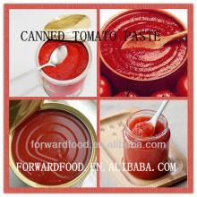 Best  Canned   Tomato   Paste   Factory 