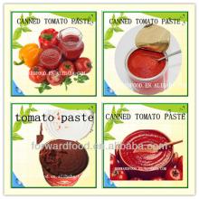 High Quality Canned Tomato Ketchup
