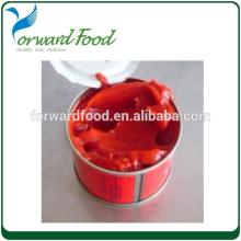 can food tin tomato paste