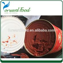 400g canned tomato paste factory