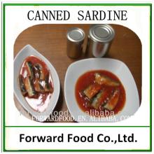 N.W 425g sardines in oil morocco of canned sardines from factory