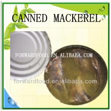  Canned   Mackerel   Fillet s In  Oil 