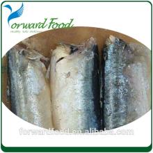 best mackerel spanish mackerel in can tin