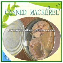 155g,425g best canned mackerel in brine manufacturer