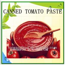 Canned Tomato Paste Plant