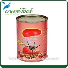 Best price for Canned Tomato Paste in Sachet