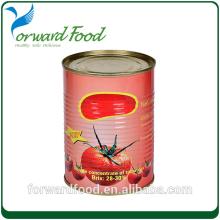 Canned Tomato Paste Factory Import from China
