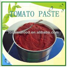 Canned Tomato Paste Factory