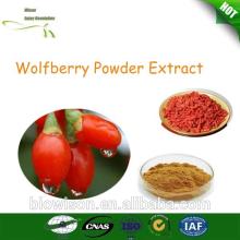 organic goji berries wolfberry extract powder