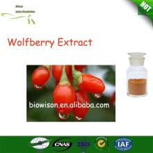 Herbal supplements and active goji wolfberry extract/Goji Berry Extract wolfberry extract