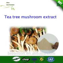Best Price Tea Tree Mushroom Extract