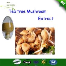 Best prie polysaccharide Tea Tree mushroom Extract/Agrocybe Aegerila Polysaccharide