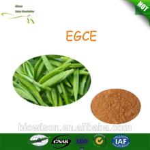 Raw materials/natural quality products Green Tea Extract /Catechin/ EGCG