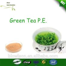 pure and natural top quality competitive price Green Tea P.E.