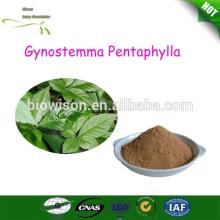 Competitive Quality jiaogulan herbal  tea / gynostemma  pentaphylla powder / organic  jiaogulan  tea 