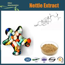 100% Natural stinging  nettle   extract /stinging  nettle   extract  powder/ nettle  leaf tea