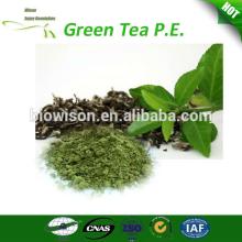 Green tea extraction polyphenols powder 50%-98%