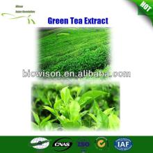 Green Tea Extract Instant Tea Powder