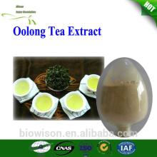 Pure Instant Oolong Tea Powder/Oolong Tea Extract