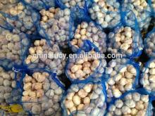 2014 china jingxiang pure white garlic