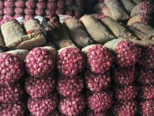 FRESH ONIONS