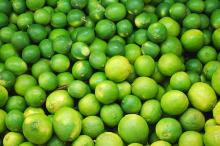 FRESH GREEN LEMON